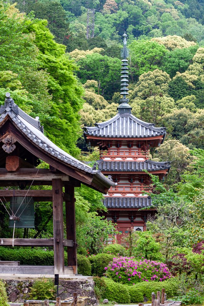 宇治神社の画像 - 2枚目