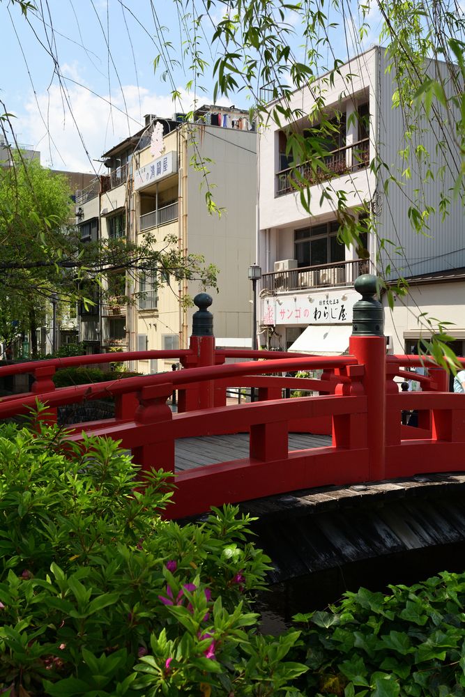 はりまや橋の画像 - 2枚目