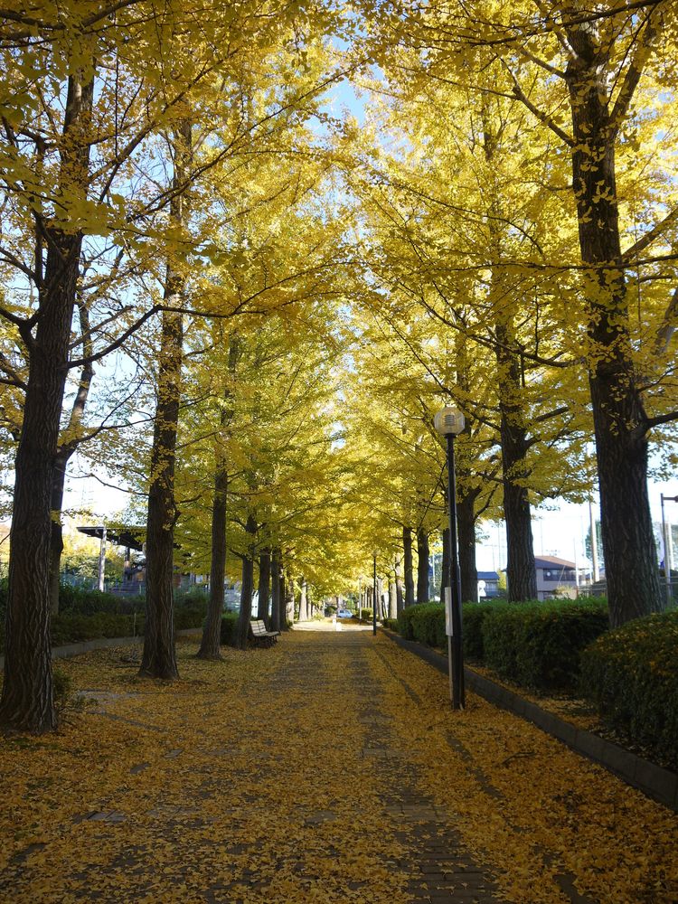 宇都宮駅東公園の画像 - 5枚目
