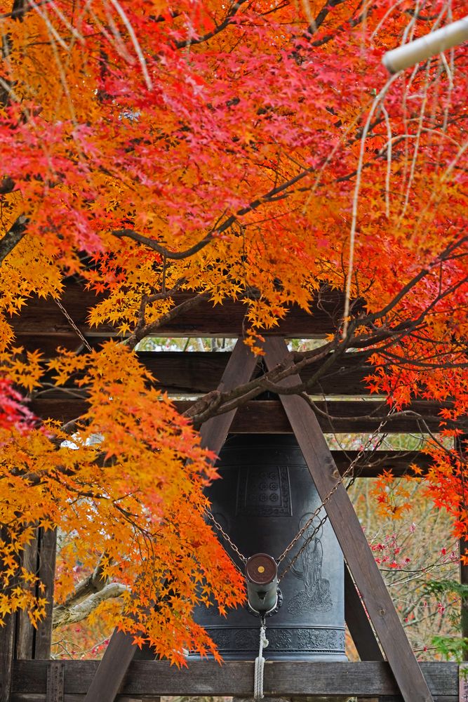 化野念仏寺】の周辺スポット・アクセス・口コミ - Prism Japan