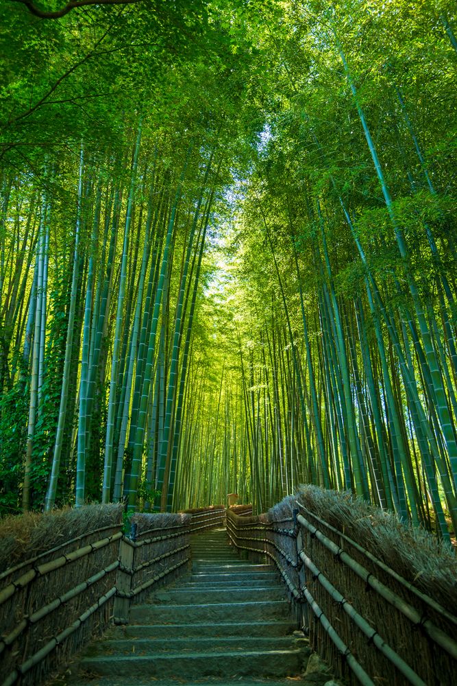 化野念仏寺の画像 - 4枚目