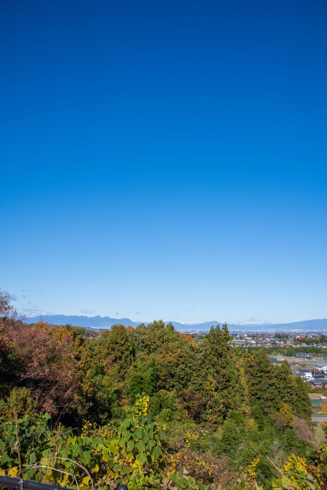 本庄総合公園の画像 - 2枚目