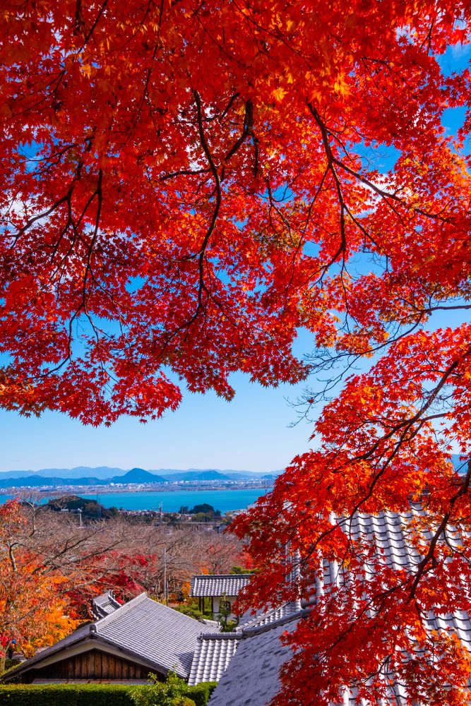 西教寺の画像 - 2枚目