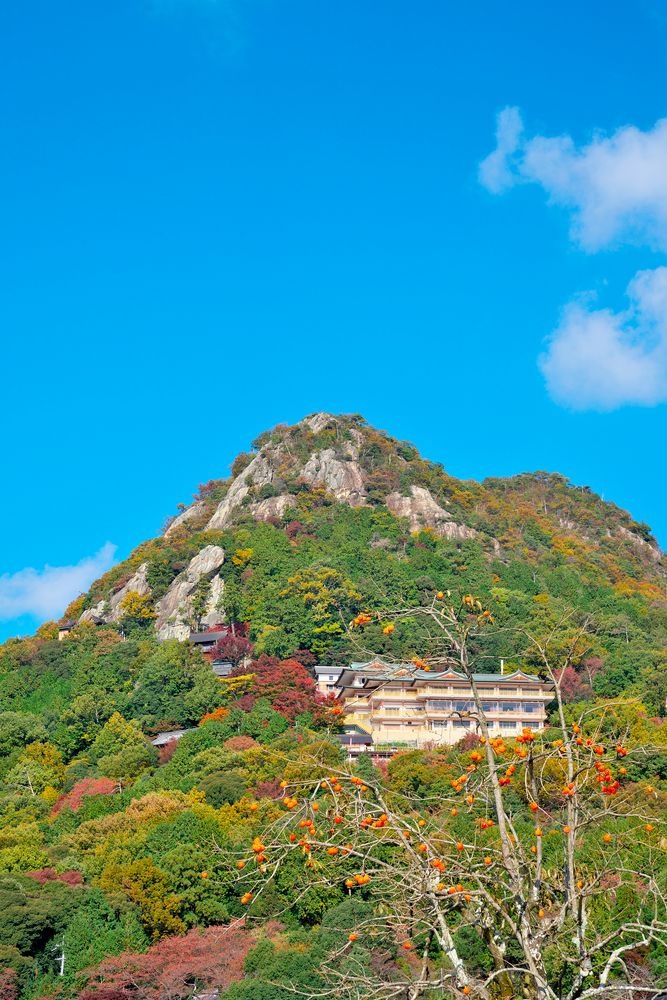 阿賀神社 太郎坊宮の画像 - 3枚目