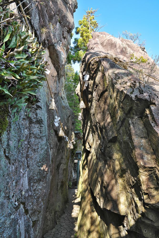 阿賀神社 太郎坊宮の画像 - 4枚目