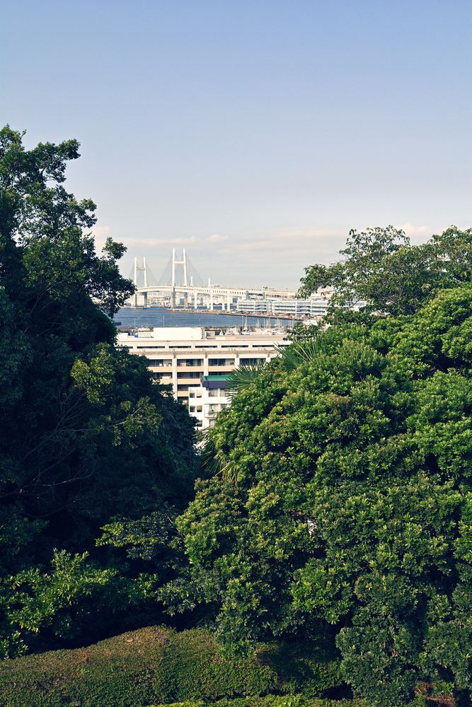 野毛山公園の画像 - 3枚目