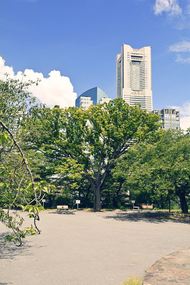 野毛山公園