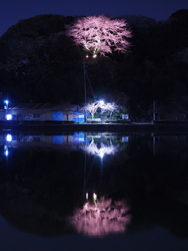 蓮華寺池公園】の周辺スポット・アクセス・口コミ - Prism Japan