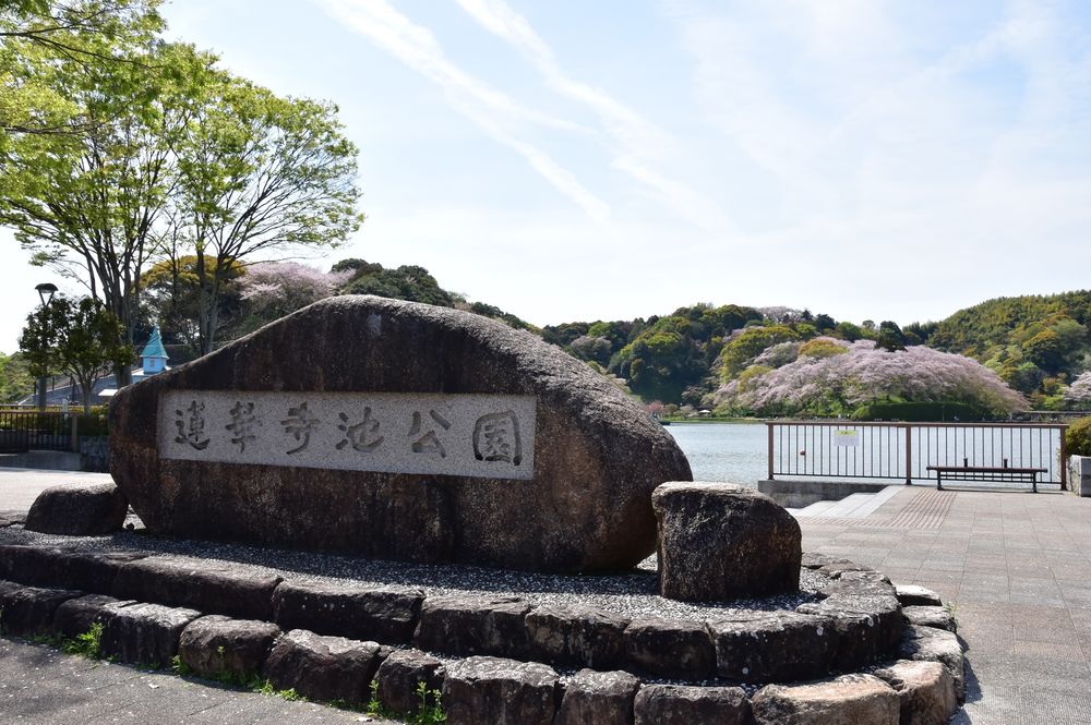 蓮華寺池公園】の周辺スポット・アクセス・口コミ - Prism Japan