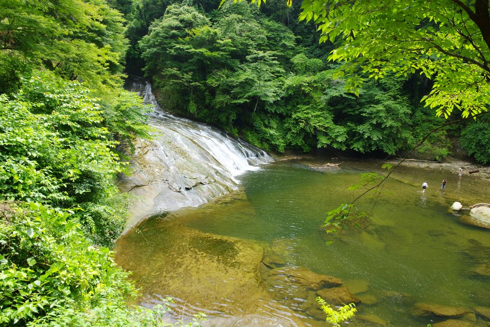 粟又の滝の画像 - 2枚目