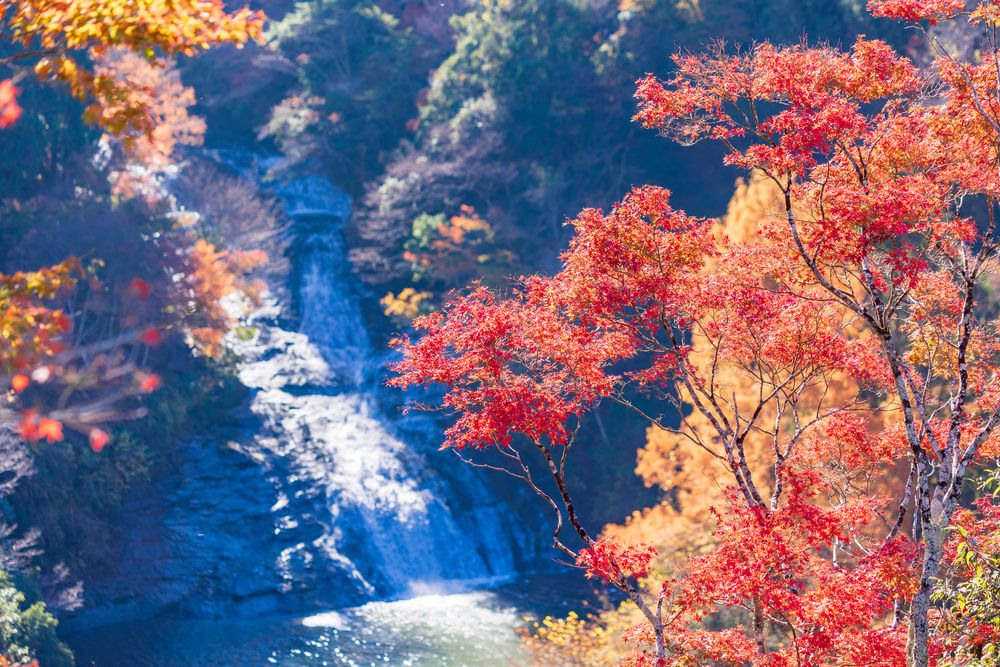 粟又の滝の画像 - 3枚目