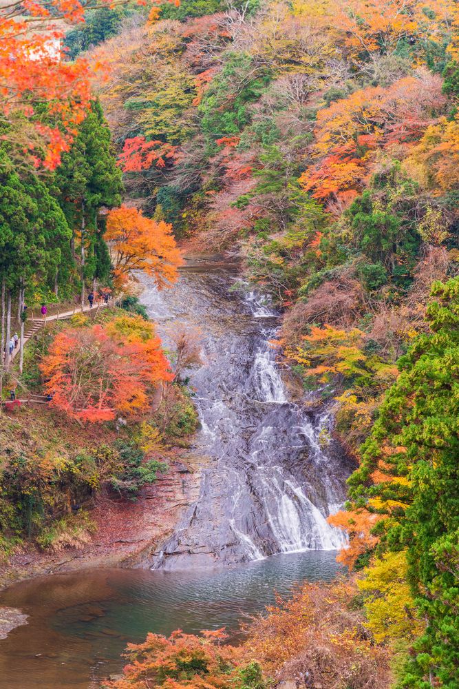 粟又の滝の画像 - 5枚目