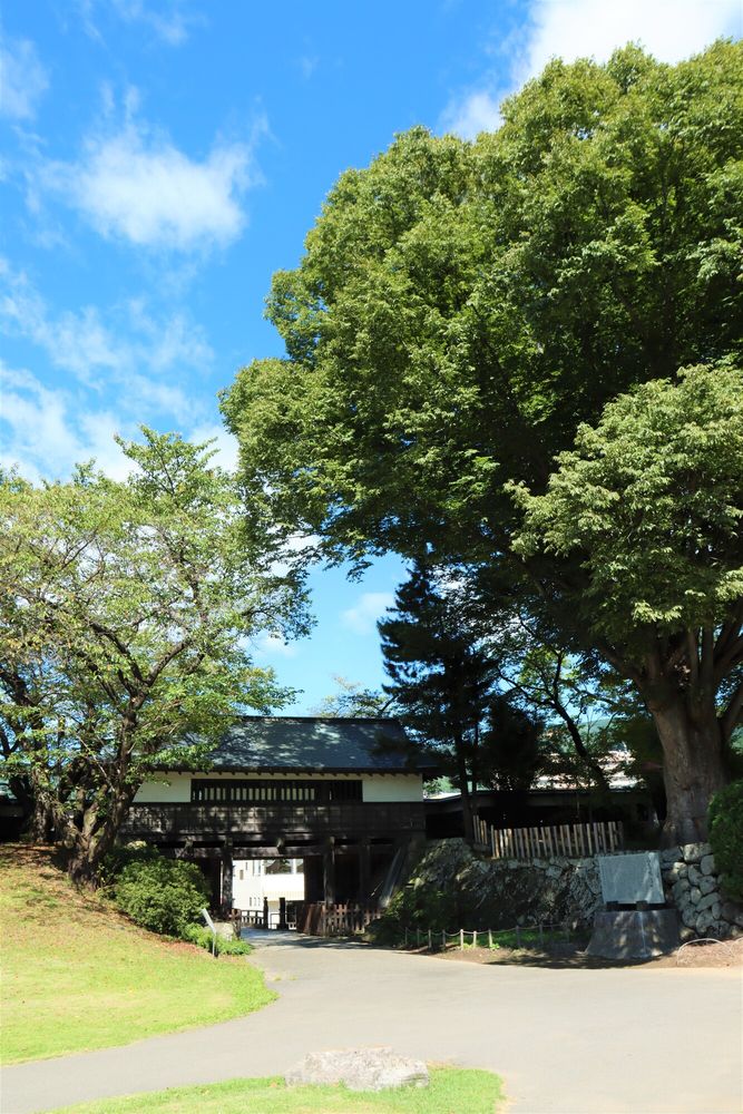 高島城の画像 - 5枚目