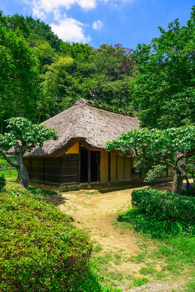 薬師池公園 梅園の画像 - 5枚目