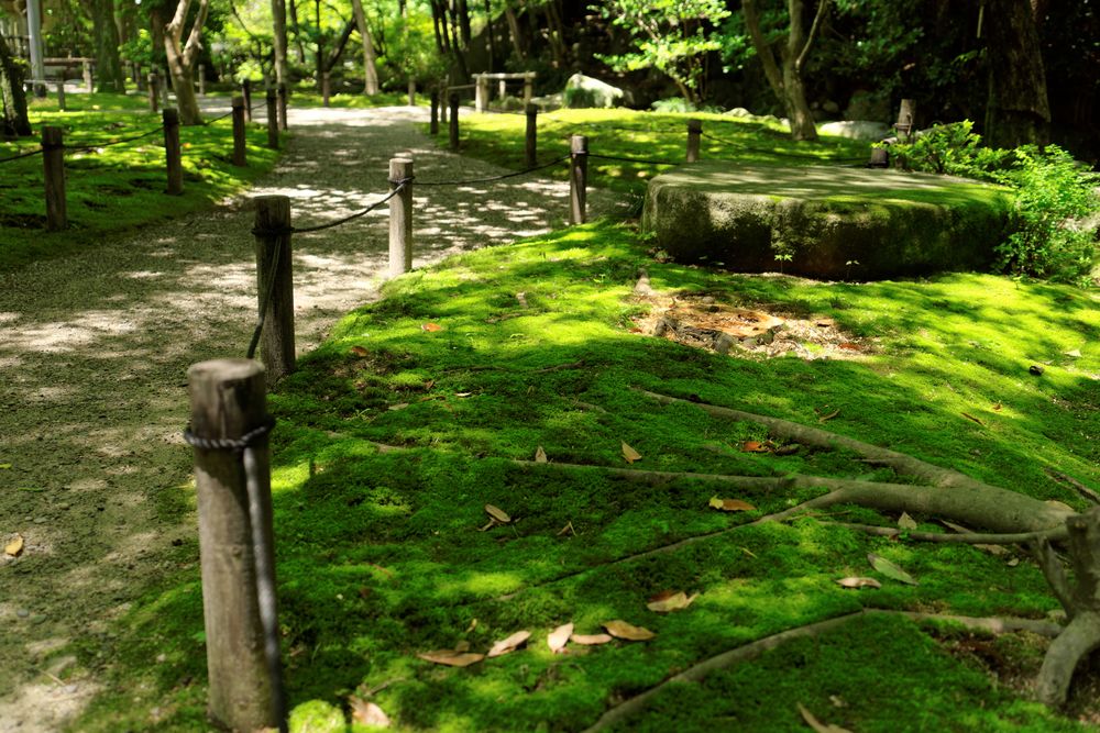 友泉亭公園の画像 - 2枚目