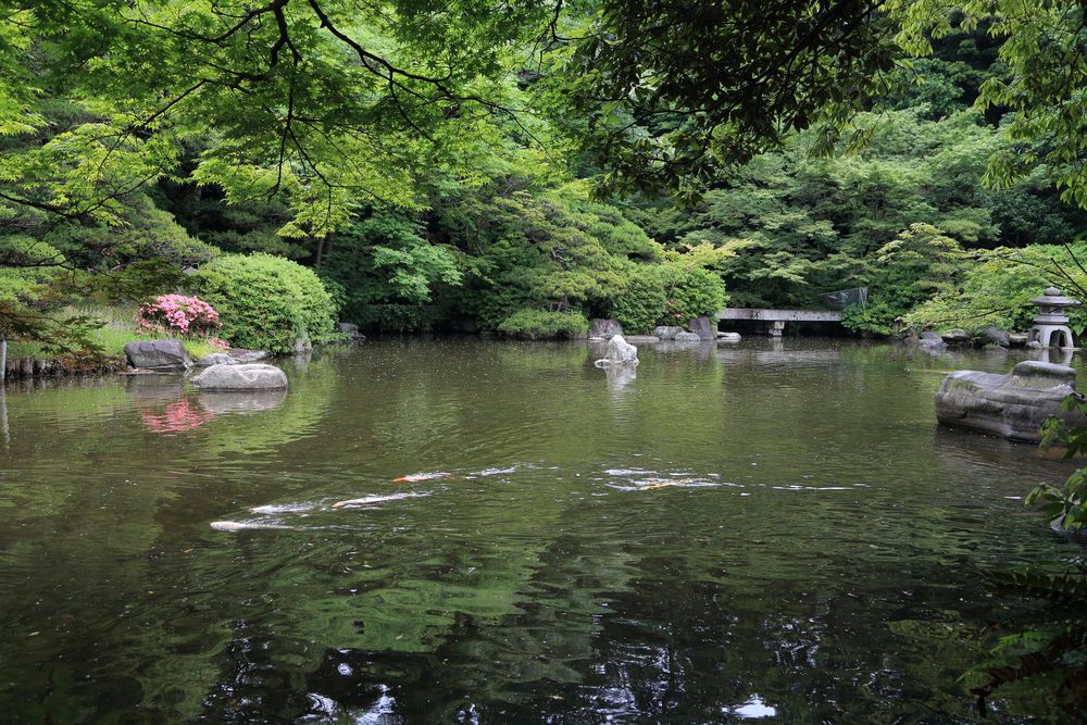 友泉亭公園の画像 - 3枚目