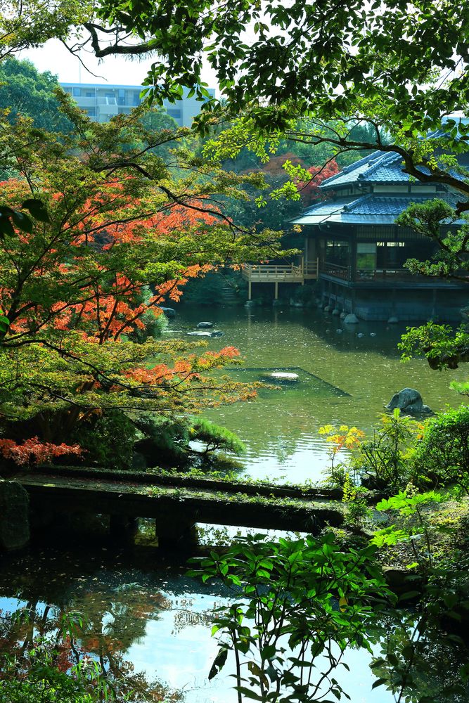 友泉亭公園の画像 - 4枚目