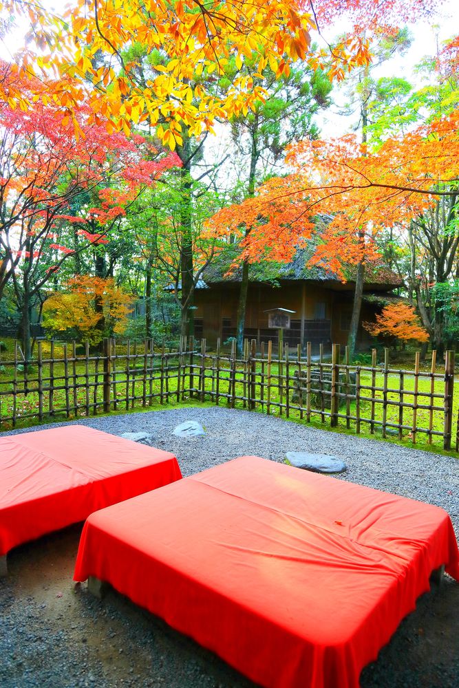 友泉亭公園の画像 - 5枚目
