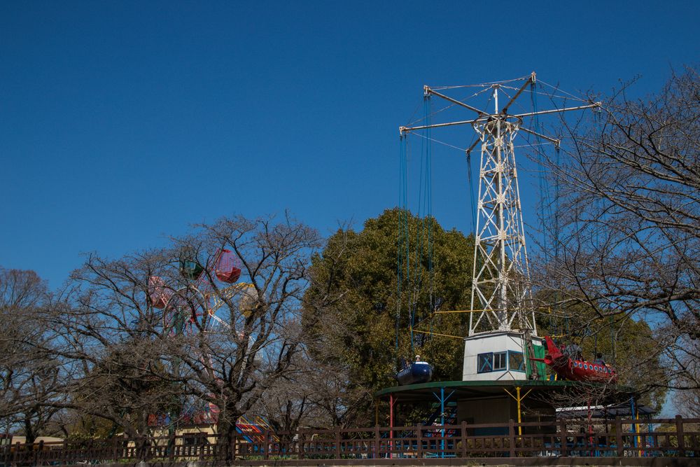 姫路市立動物園の画像 - 5枚目