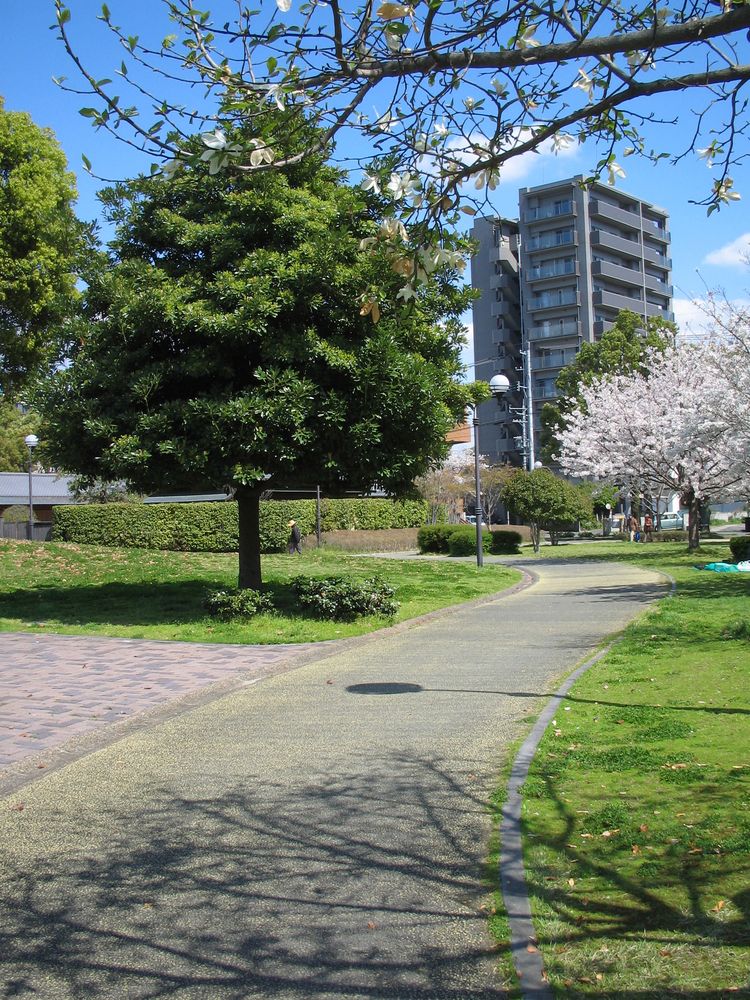 白川公園の画像 - 2枚目