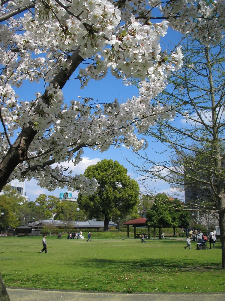 白川公園の画像 - 3枚目