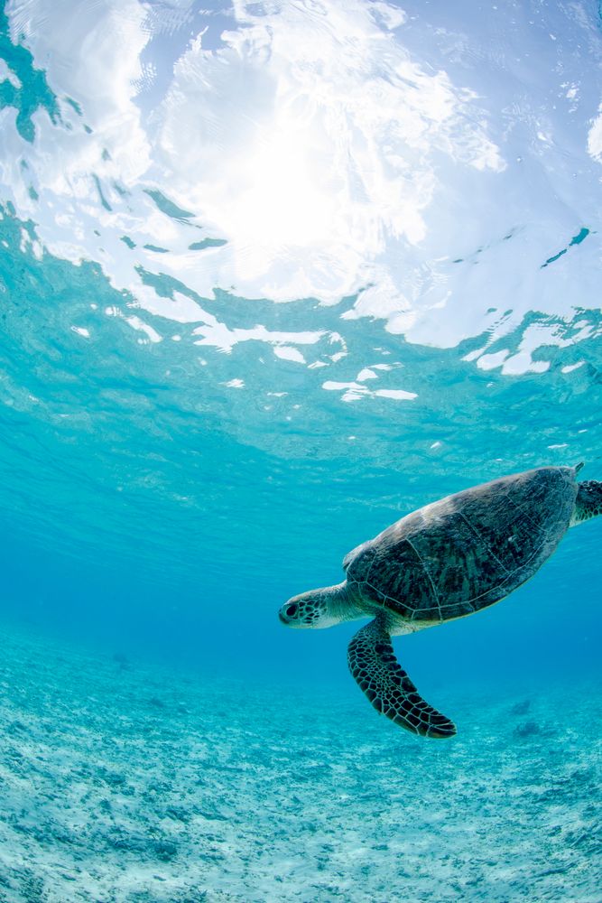 阿真ビーチ】の周辺スポット・アクセス・口コミ - Prism Japan