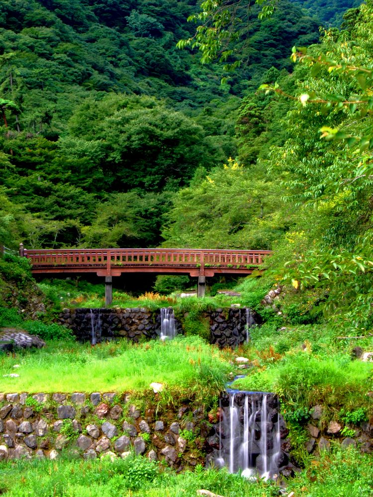 養老公園の画像 - 2枚目