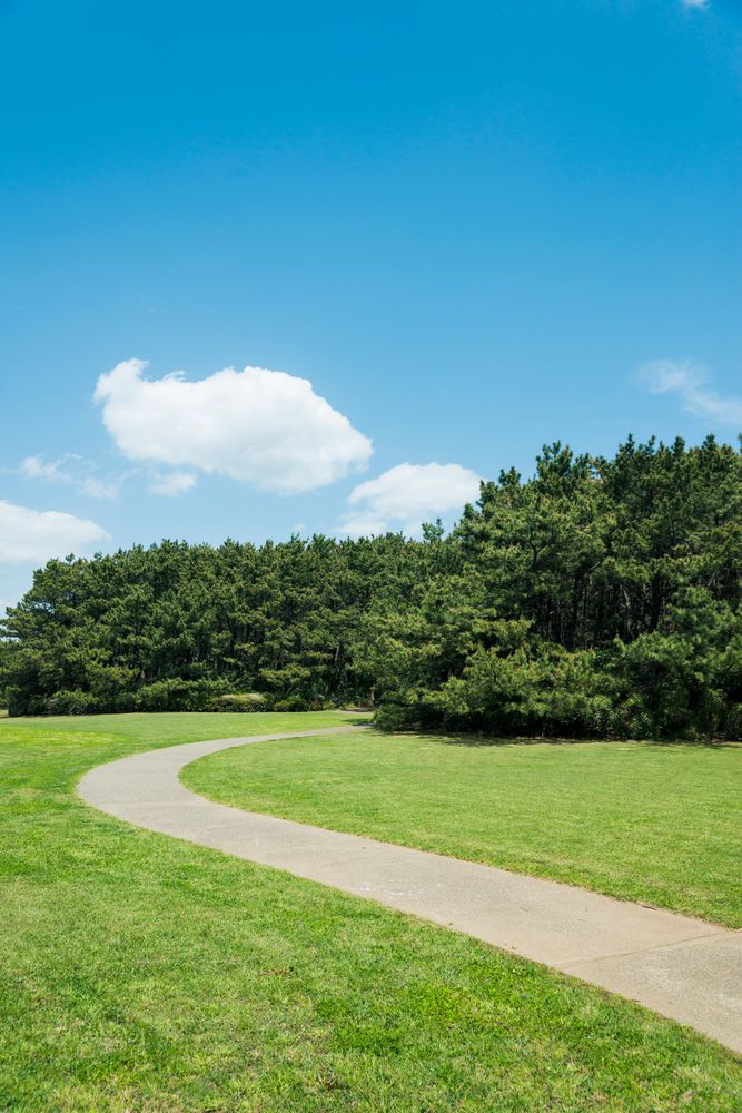 稲毛海浜公園の画像 - 2枚目