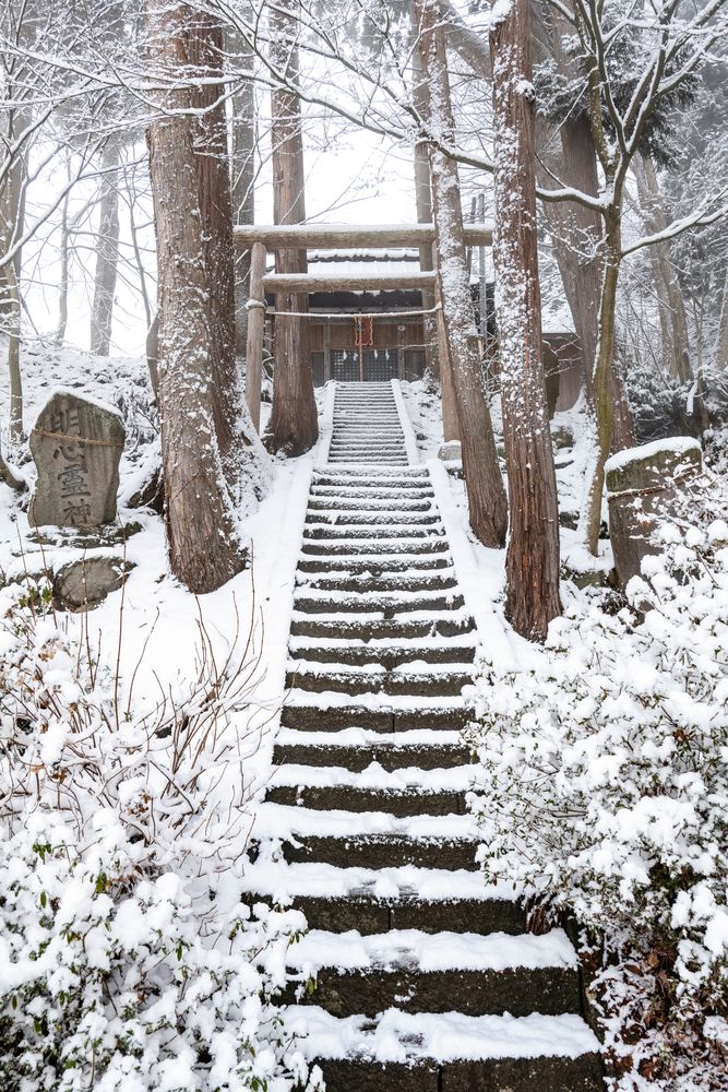 野沢温泉スキー場の画像 - 2枚目