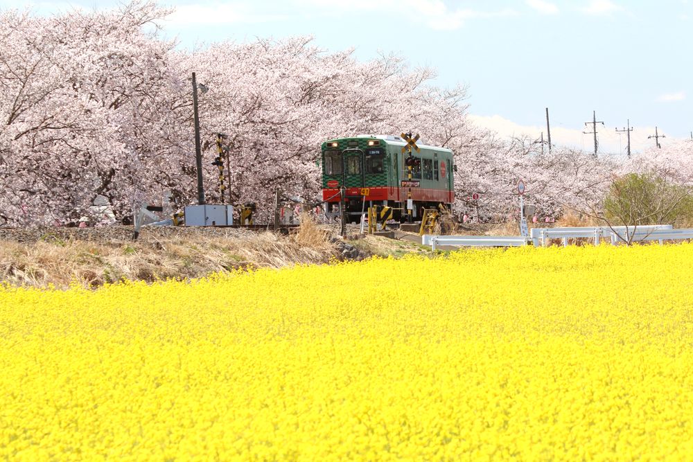 真岡駅の画像 - 3枚目