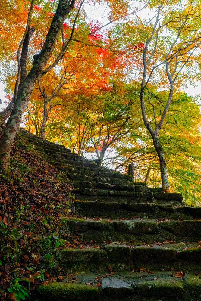 大井平公園の画像 - 4枚目