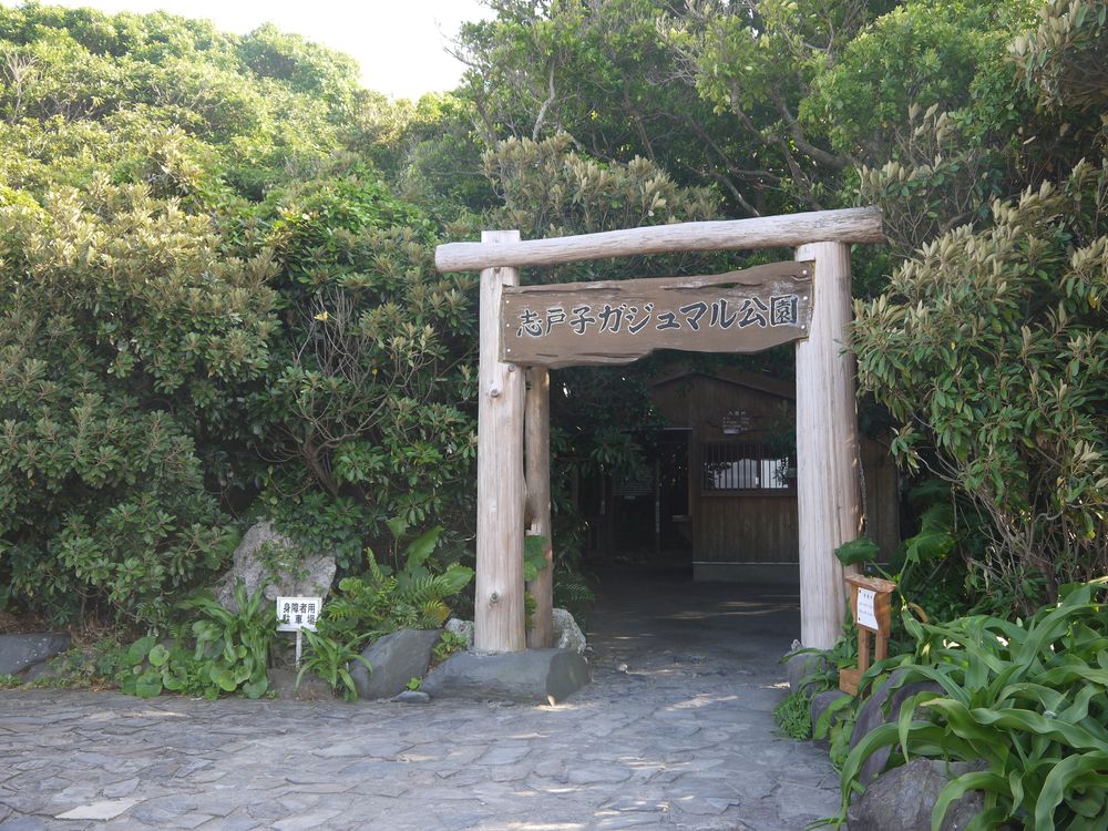 志戸子ガジュマル公園の画像 - 6枚目