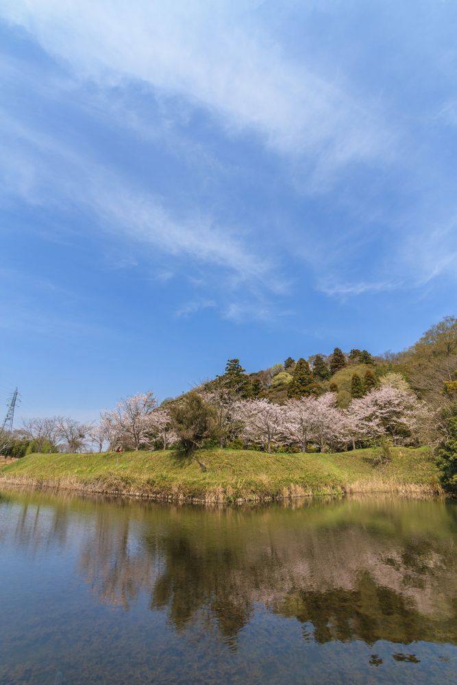 佐倉城址公園の画像 - 4枚目