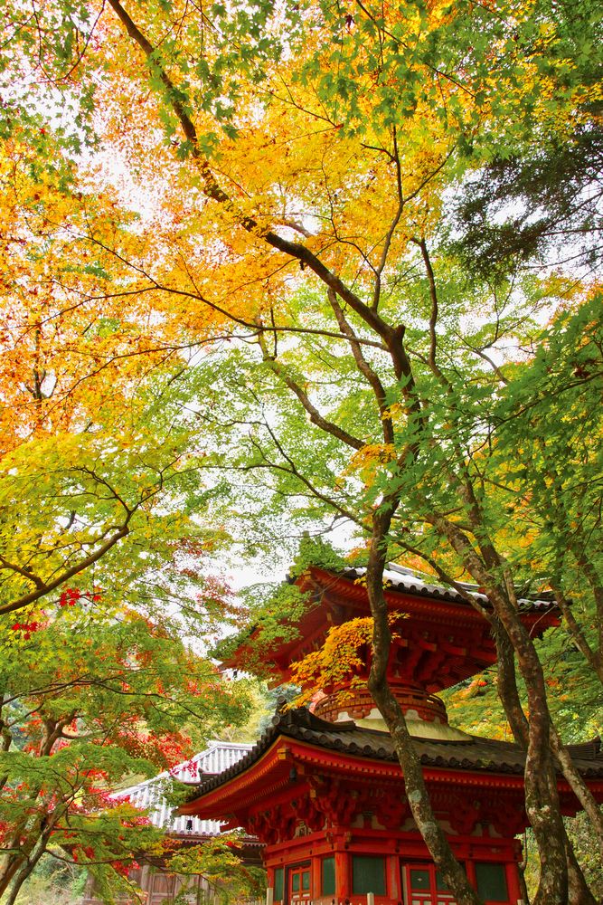 牛滝山大威徳寺の画像 - 2枚目