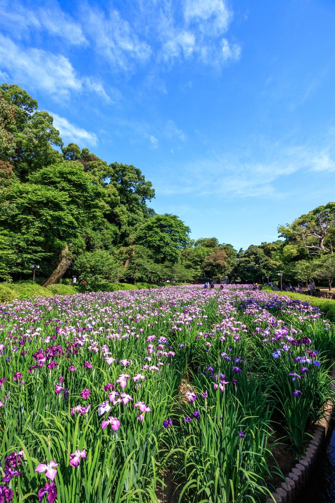 大村公園の画像 - 3枚目