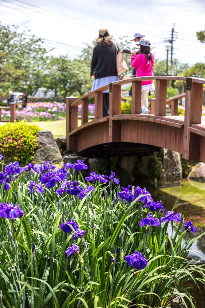 大村公園の画像 - 5枚目