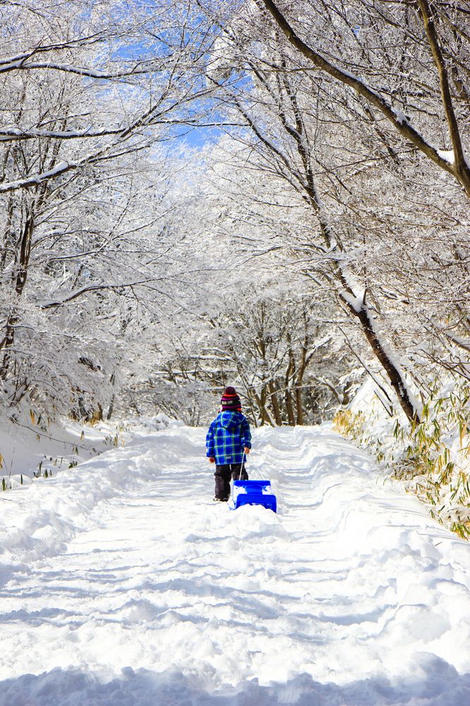 大和葛城山 頂上の画像 - 5枚目