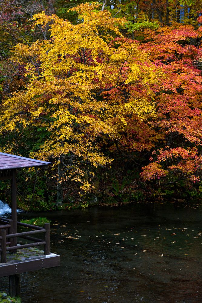 ふきだし公園の画像 - 4枚目