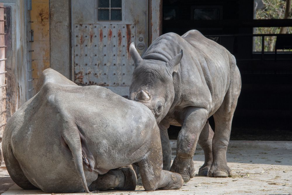 愛媛県立とべ動物園の画像 - 4枚目