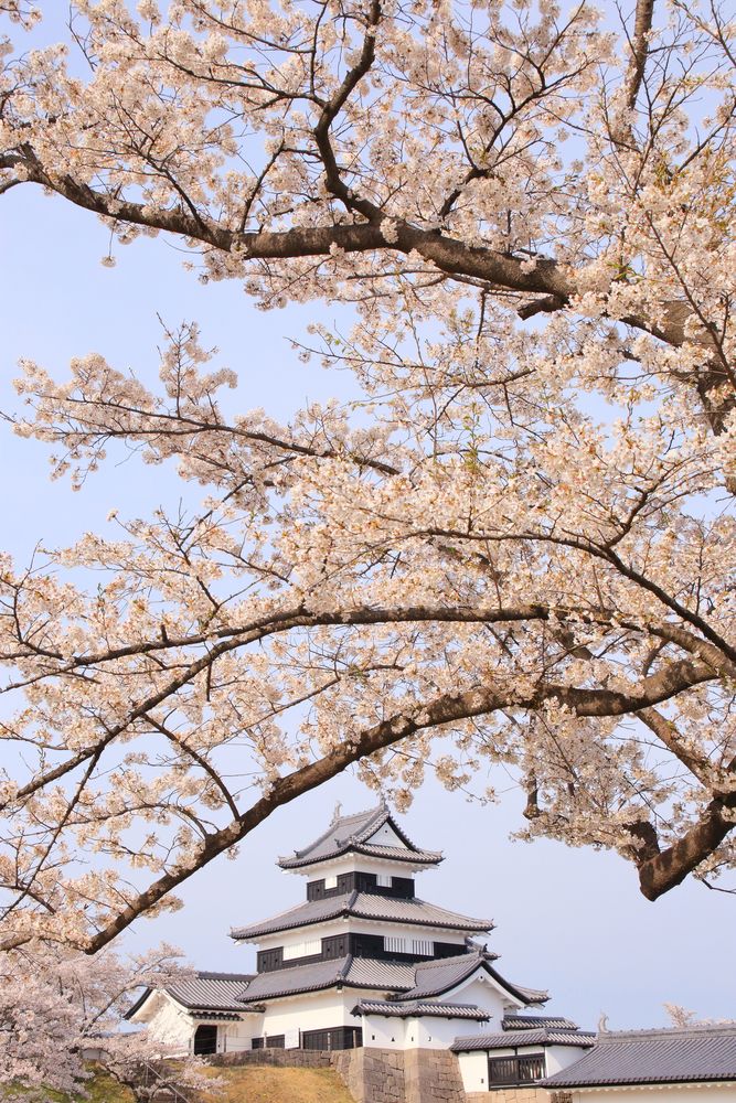 白河小峰城の画像 - 4枚目