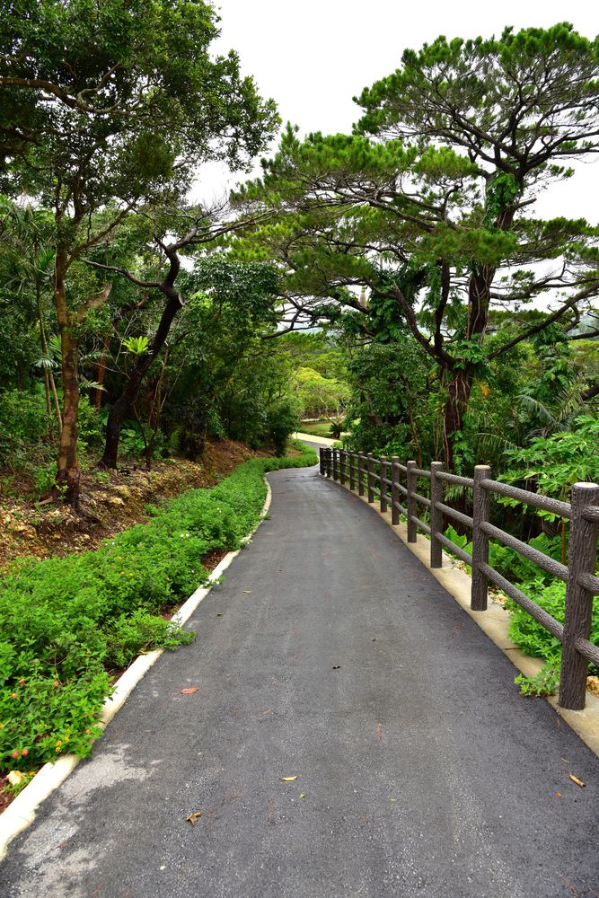 宮古島市熱帯植物園の画像 - 2枚目