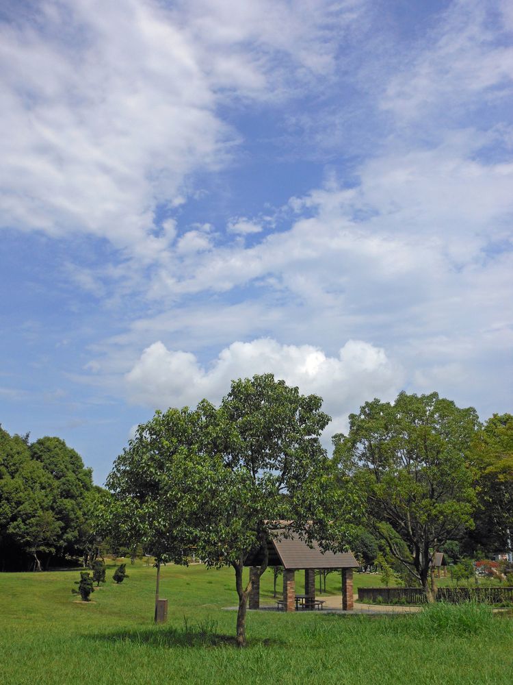 南部丘陵公園の画像 - 2枚目