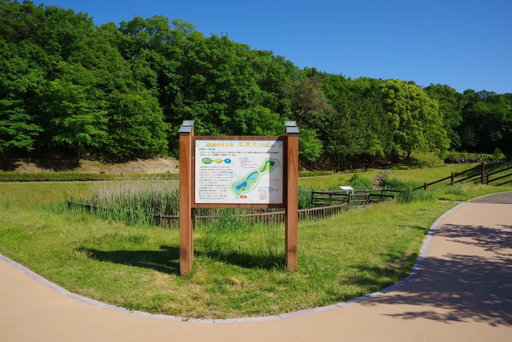 南部丘陵公園の画像 - 3枚目
