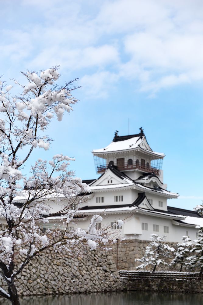 富山市郷土博物館 (富山城)の画像 - 2枚目