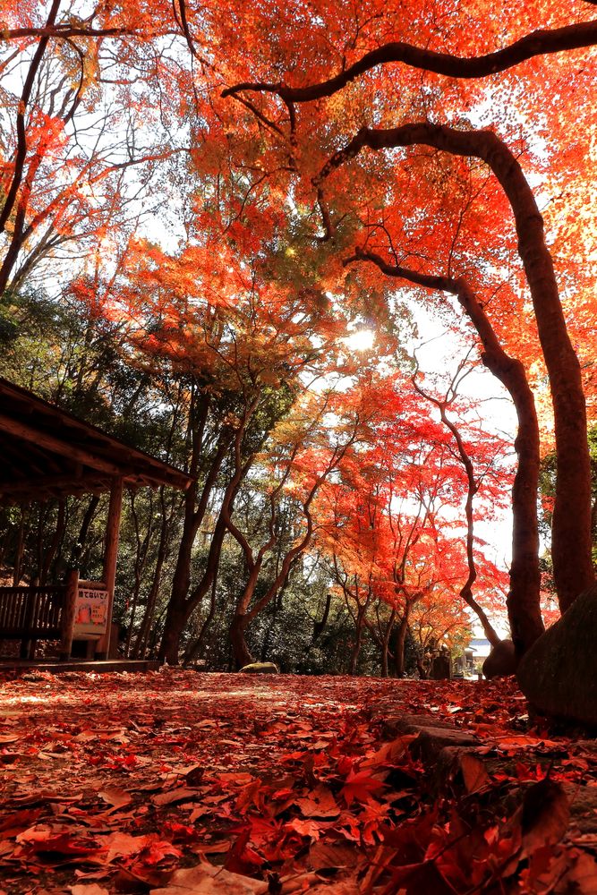 龍野公園