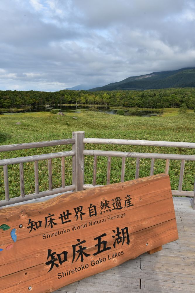 知床五湖 一湖の画像 - 2枚目