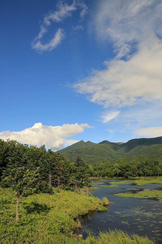 知床五湖 一湖の画像 - 3枚目