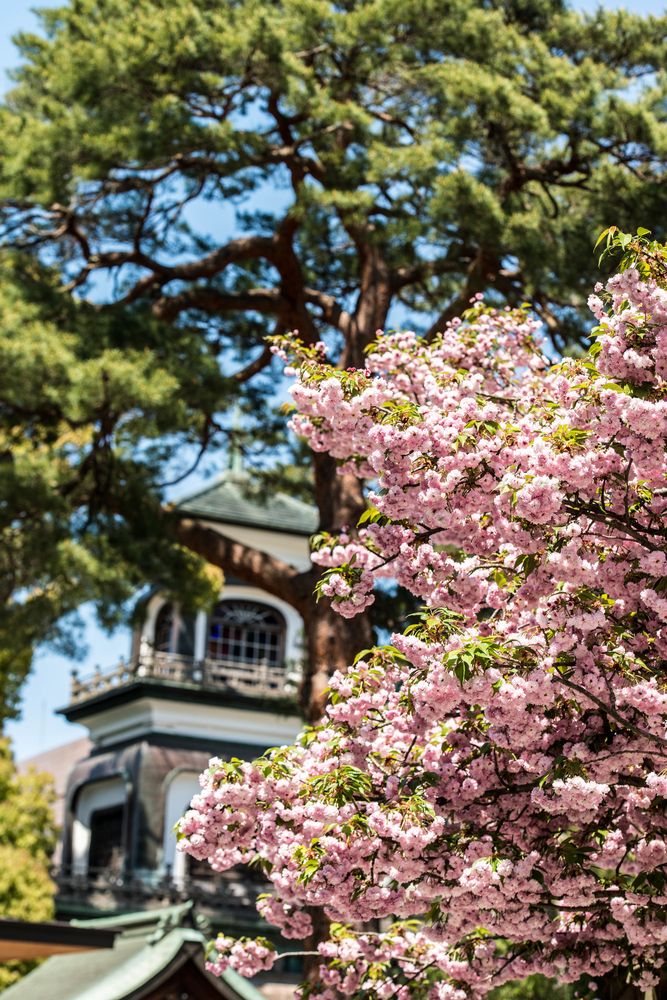 尾山神社の画像 - 3枚目