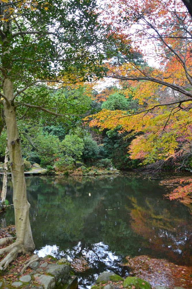 尾山神社の画像 - 4枚目