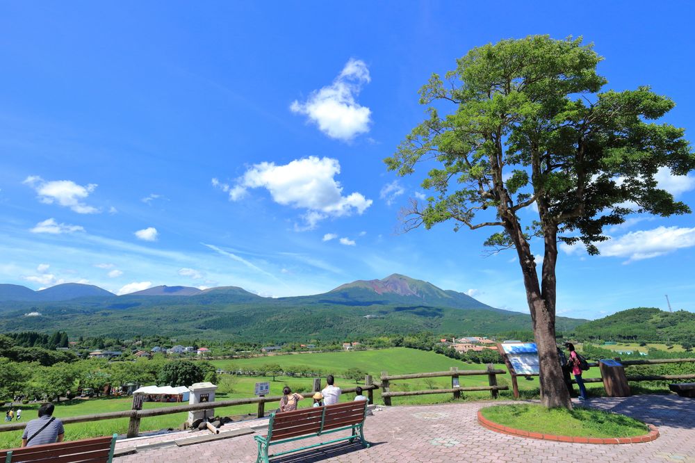 高千穂牧場の画像 - 7枚目